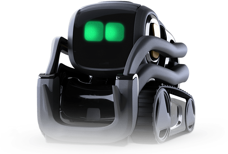 Vector