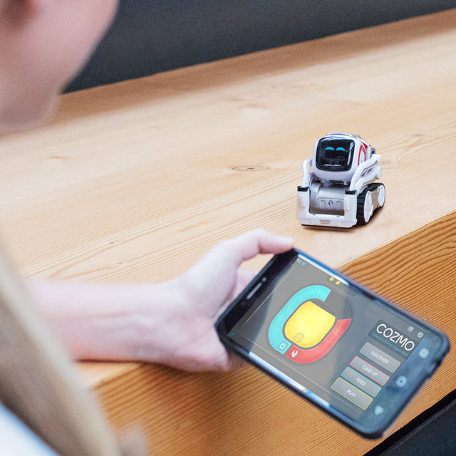 Life with Cozmo.
